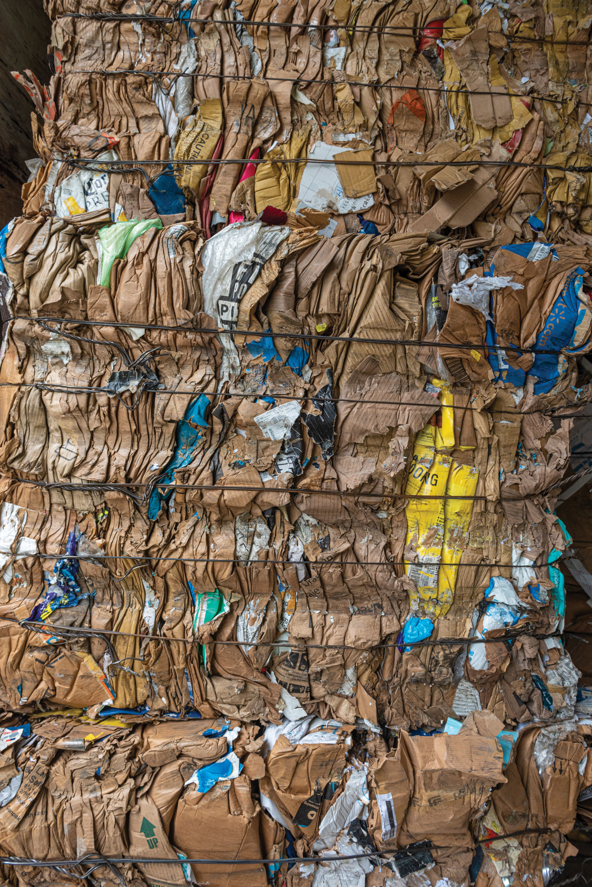 The Green Issue: So You Want to Recycle Responsibly